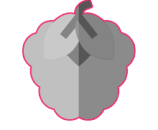 icon-framboise2