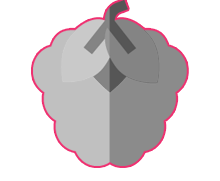 icon-framboise2